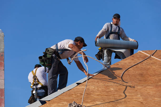 Best Roof Repair Services  in Sea Ranch, CA